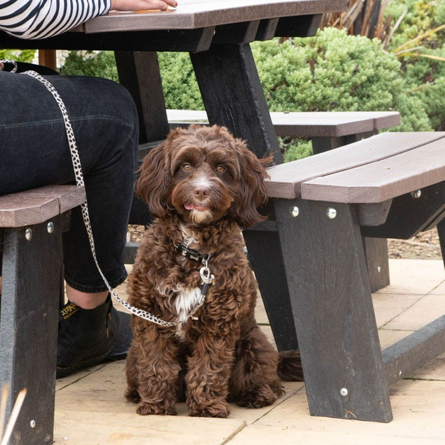 Your local dog friendly pub in Farsley, Pudsey